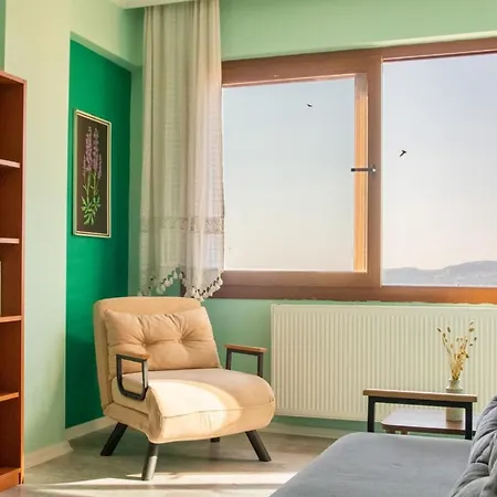 Διαμέρισμα Flat With Great View And Location In Konak